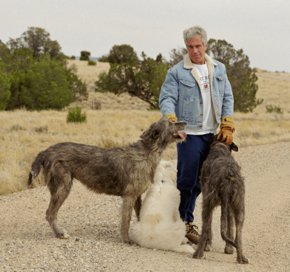 Epstein's Dogs
