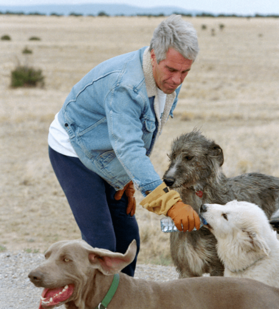 Epstein's Dogs